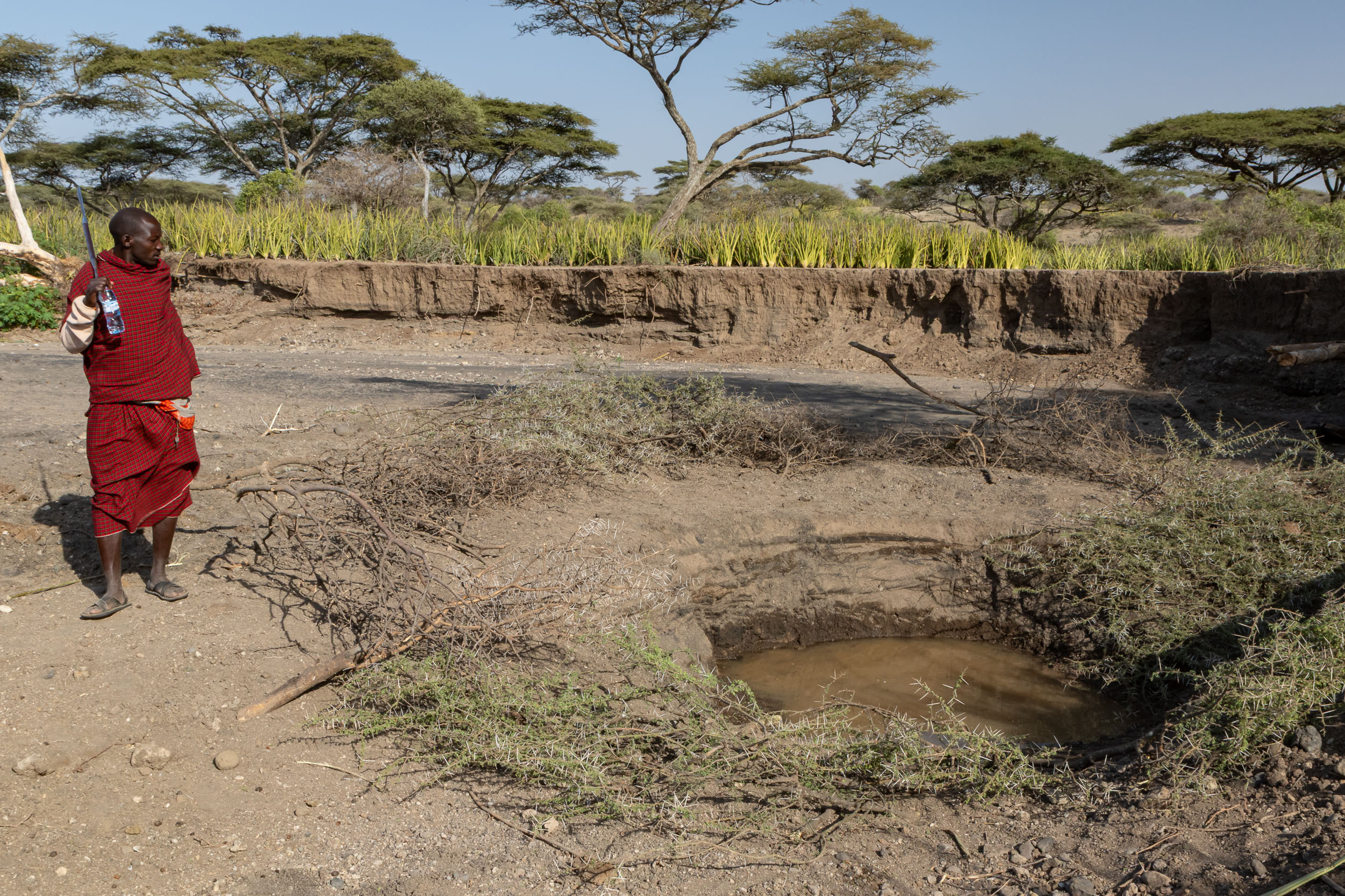 Olduvai Gorge, Olduvai Tented Camp, Tanzania