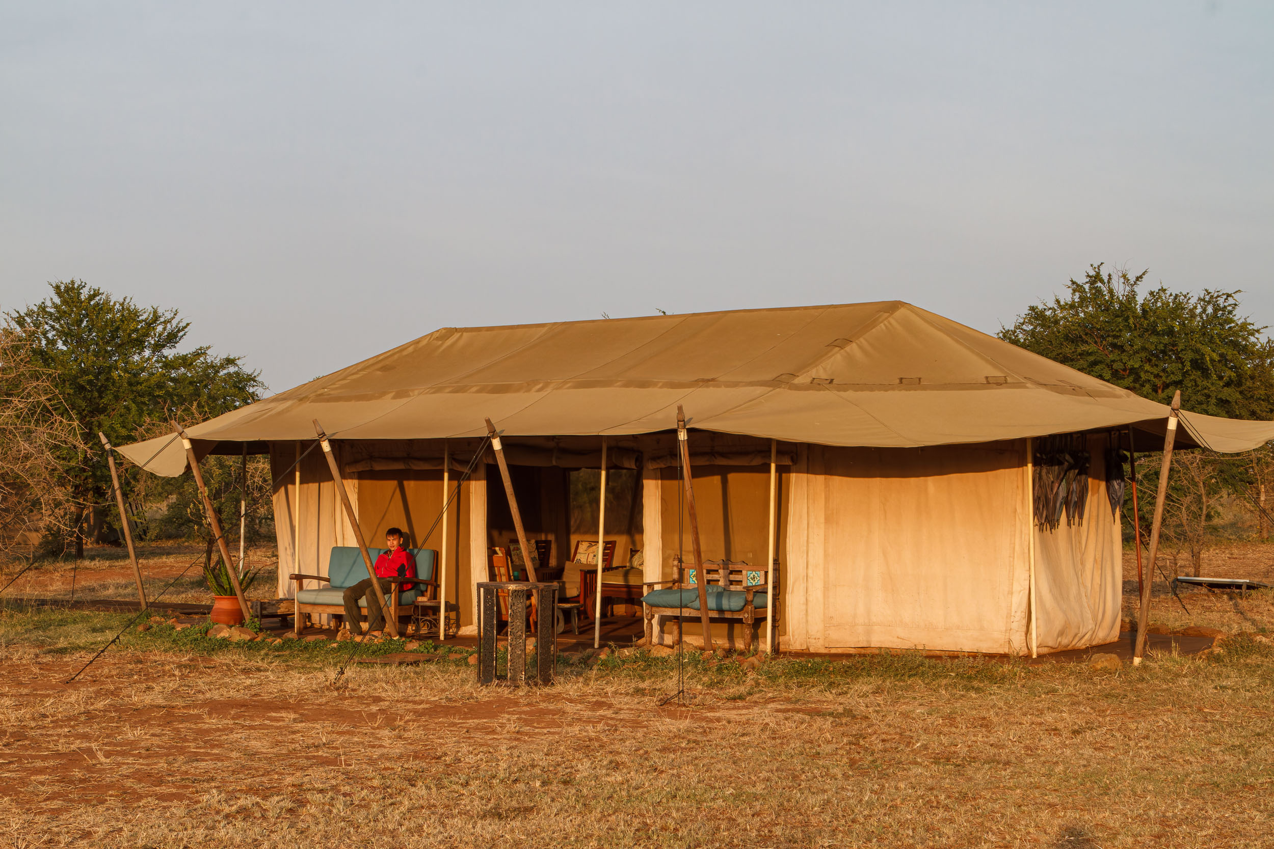Highlights, Ronjo Camp, Serengeti National Park, Seronera, Tanzania