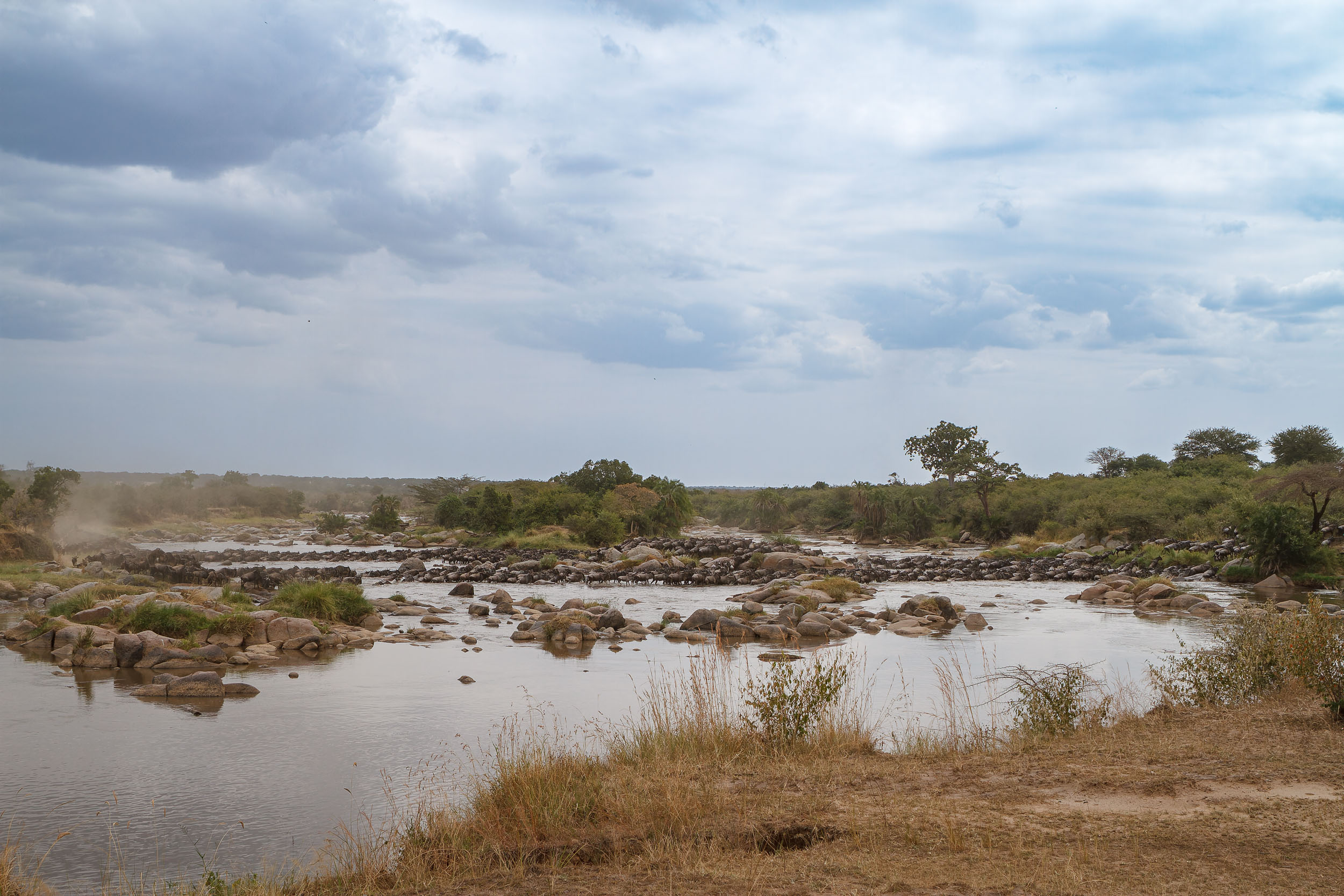 Highlights, Serengeti Mara, Serengeti National Park, Tanzania, mara, migration