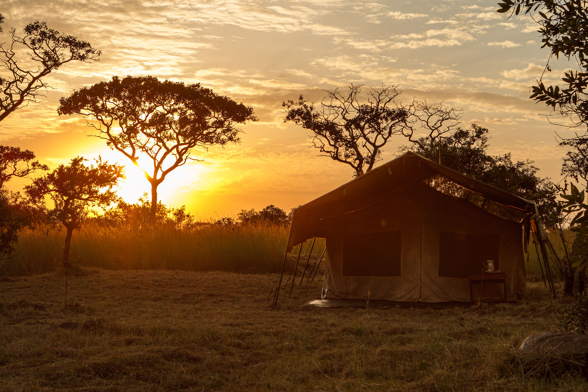 Highlights, Serengeti Mara, Serengeti National Park, Tanzania, mara, migration