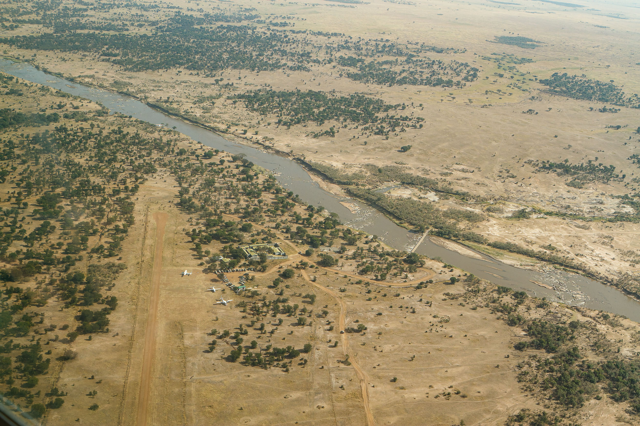 Highlights, Serengeti Mara, Serengeti National Park, Tanzania, mara