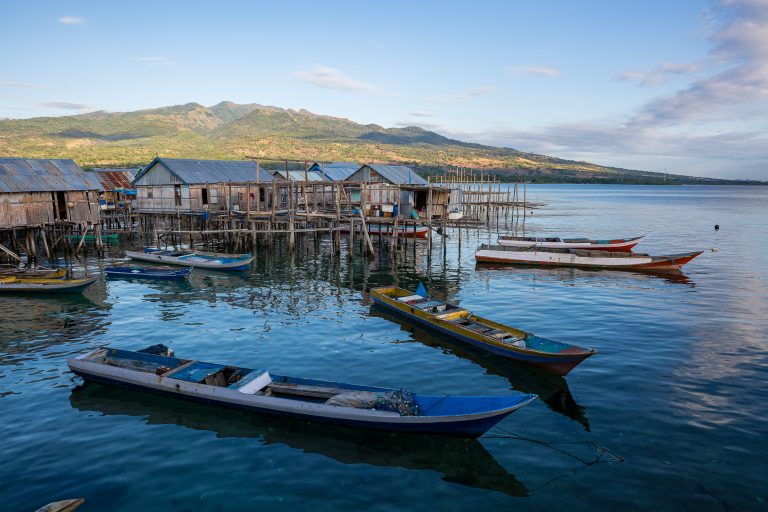 Indonesia, flores, print, wuring