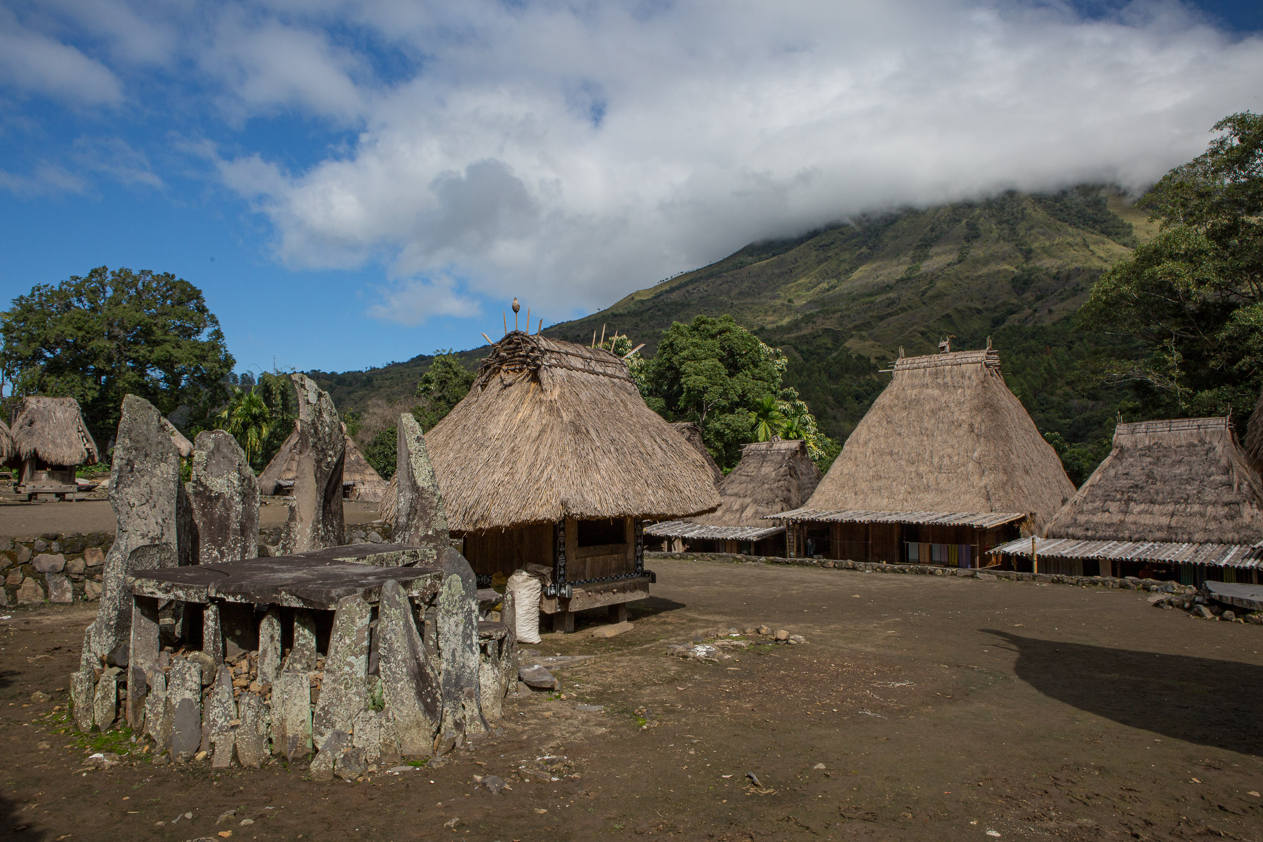 Ngadhu Bhaga megalithic courtyard Ngada village Flores