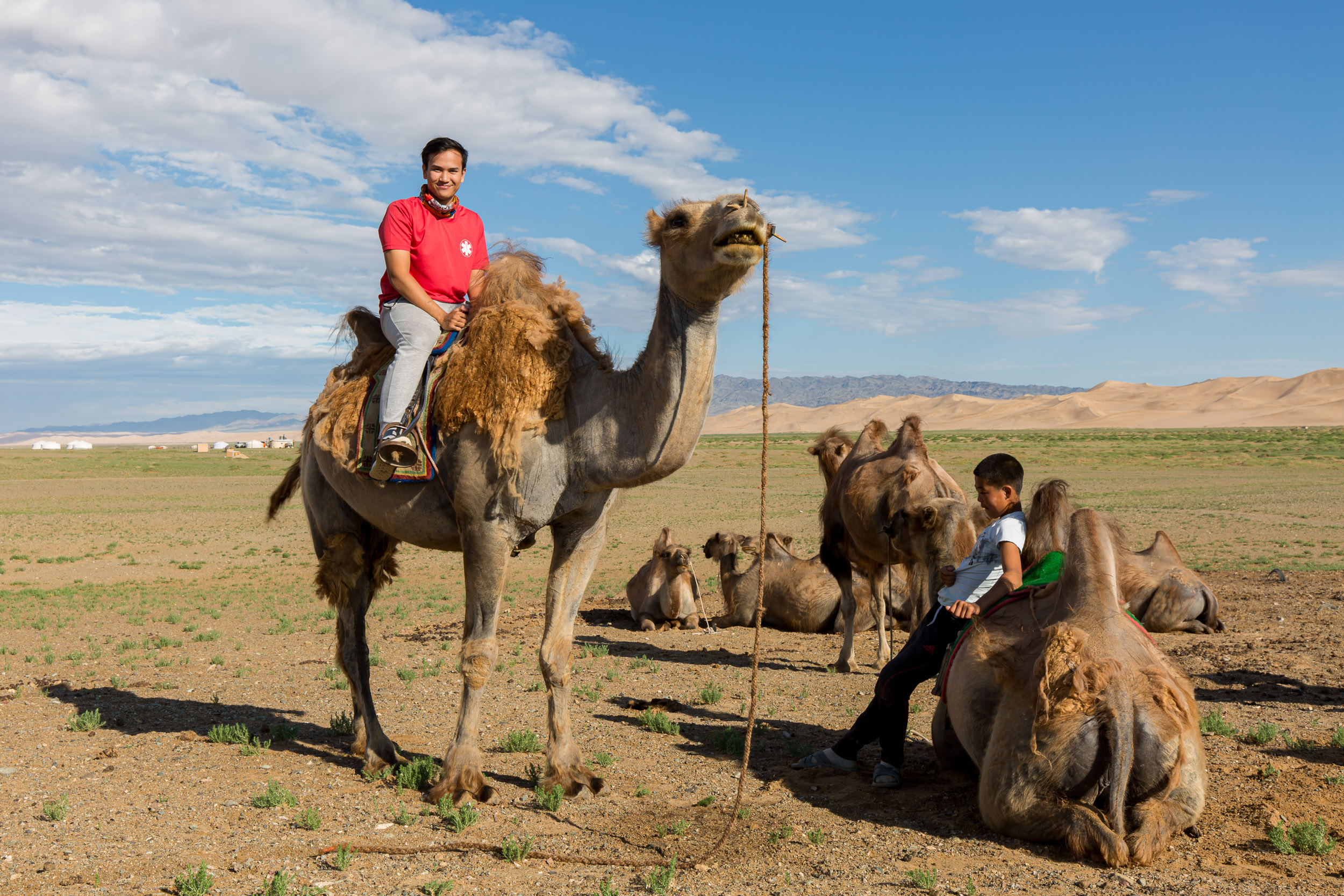 Gobi Desert, Khongoryn Els, Mongolia