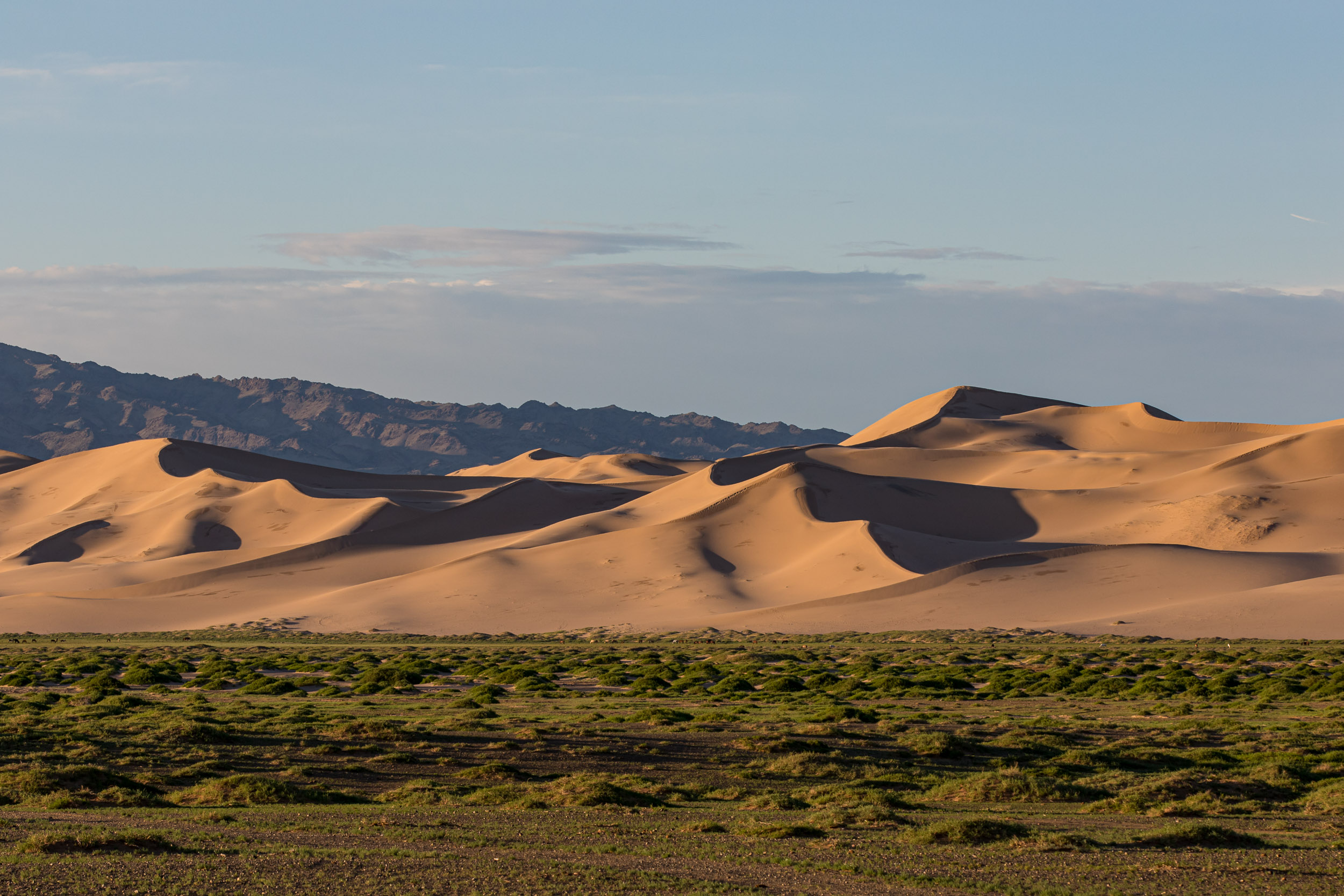 Gobi Desert at Khongoryn Els, Mongolia