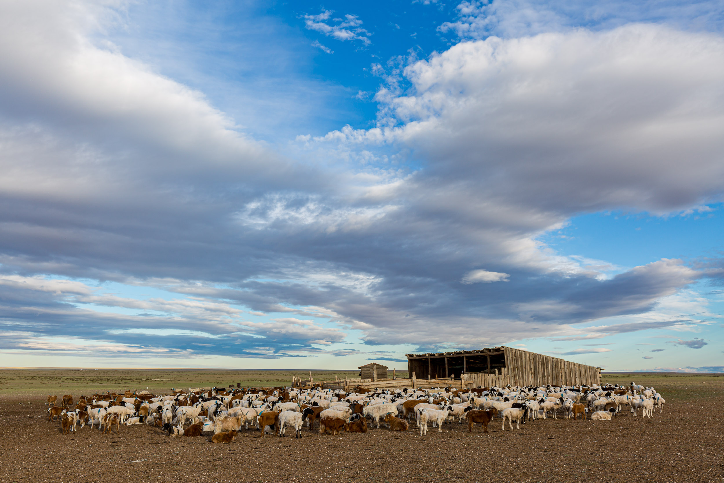 Gobi Desert, Mongolia, Ongiin Khiid