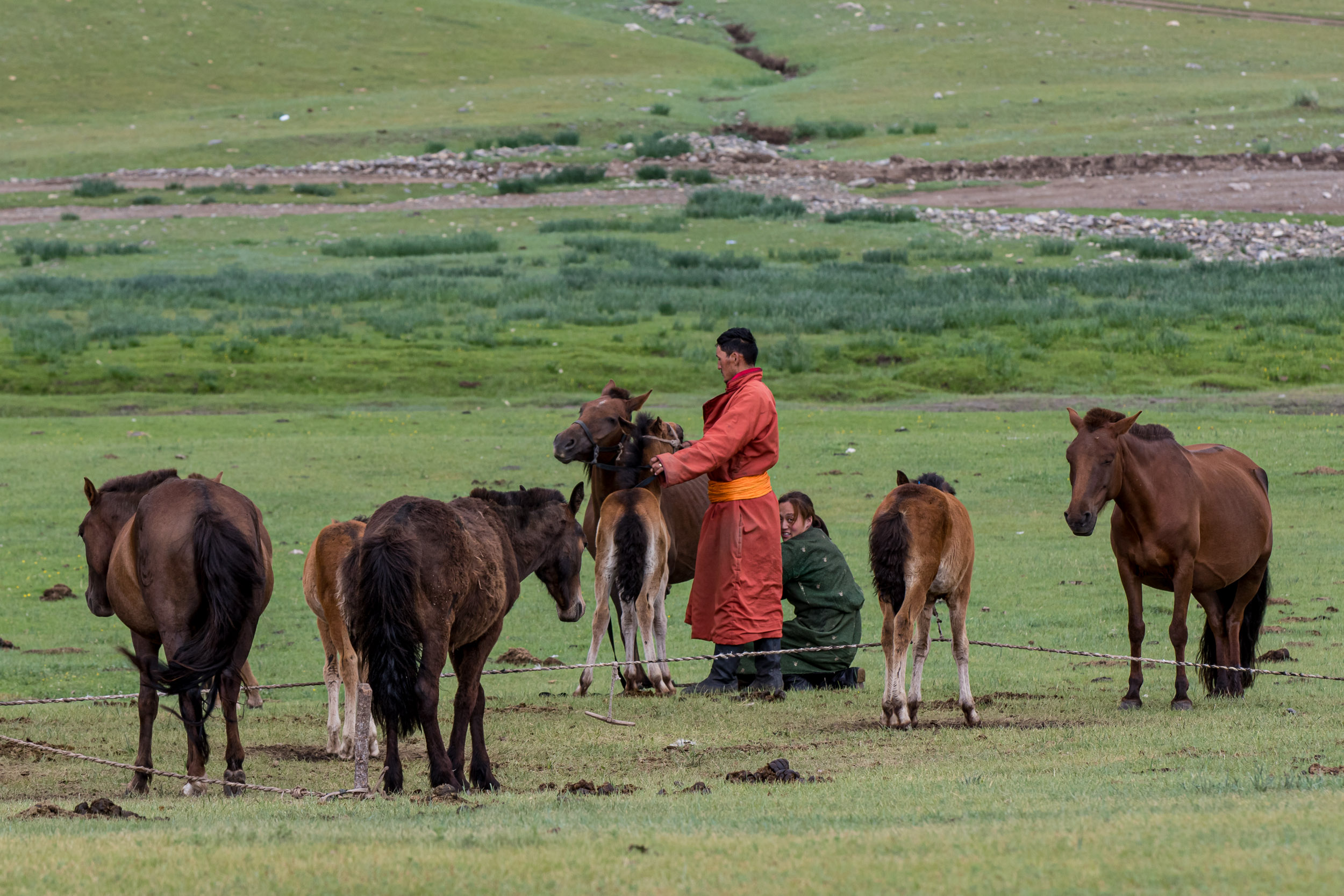 Mongolia, Orkhon Valley