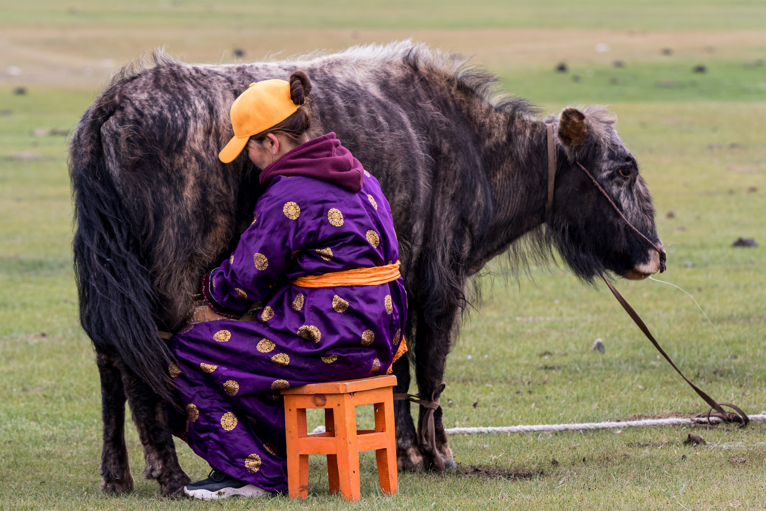 Mongolia, Orkhon Valley