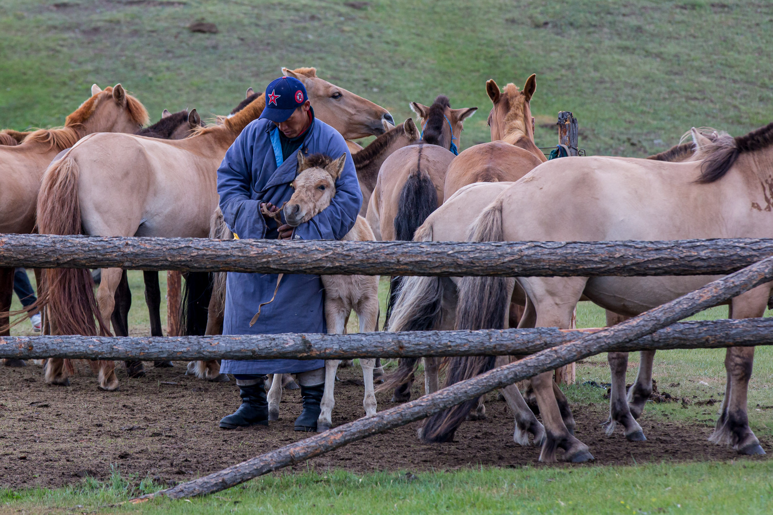 Mongolia, Orkhon Valley