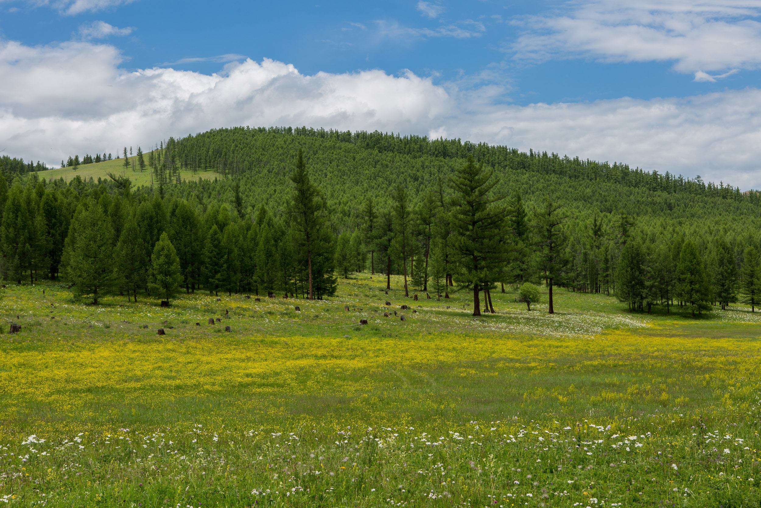 Road from Orkhon Valley to the Tsenkher Hot Springs in central MongoliaMongolia, Orkhon Valley