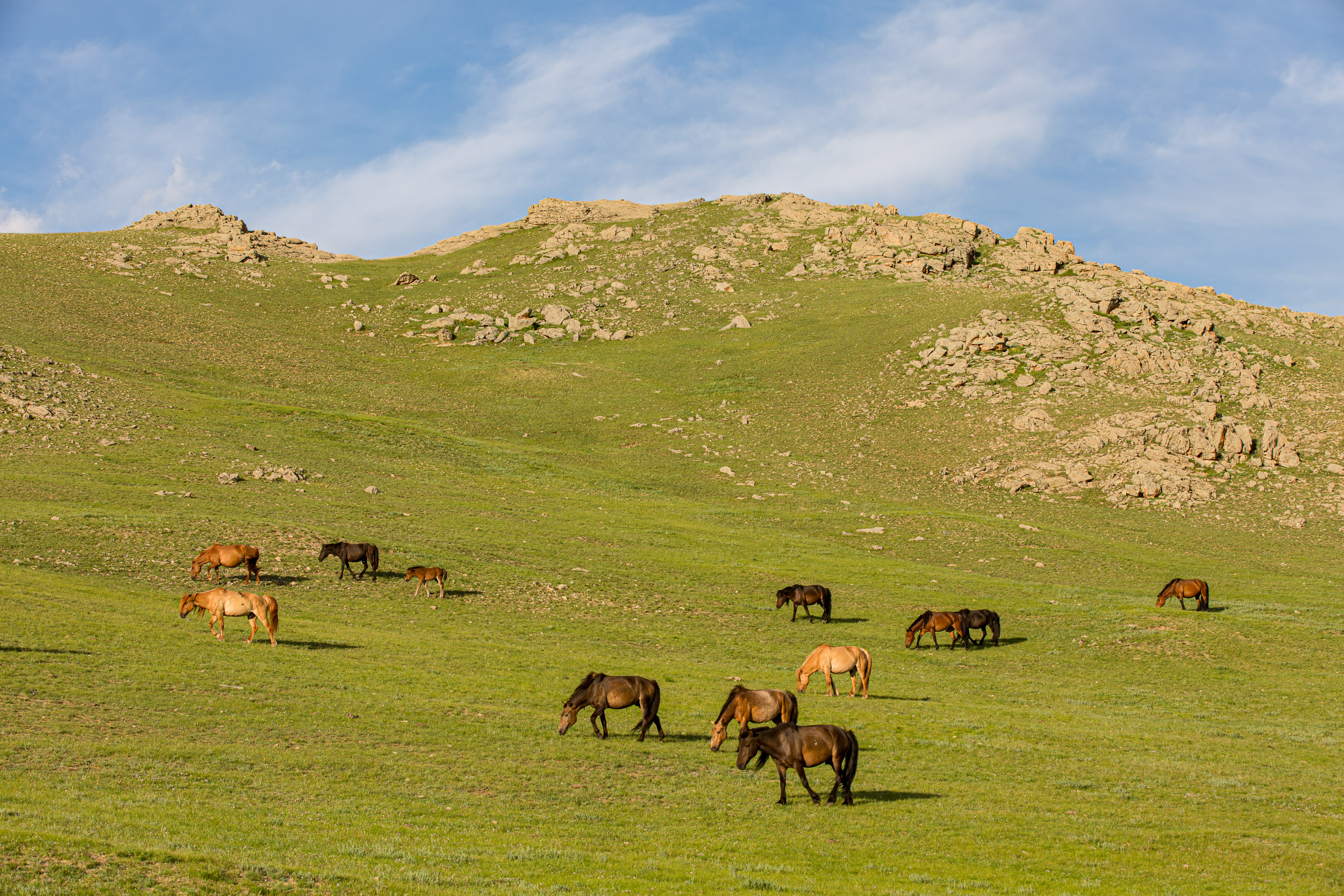 Great White Lake, Mongolia, lakes