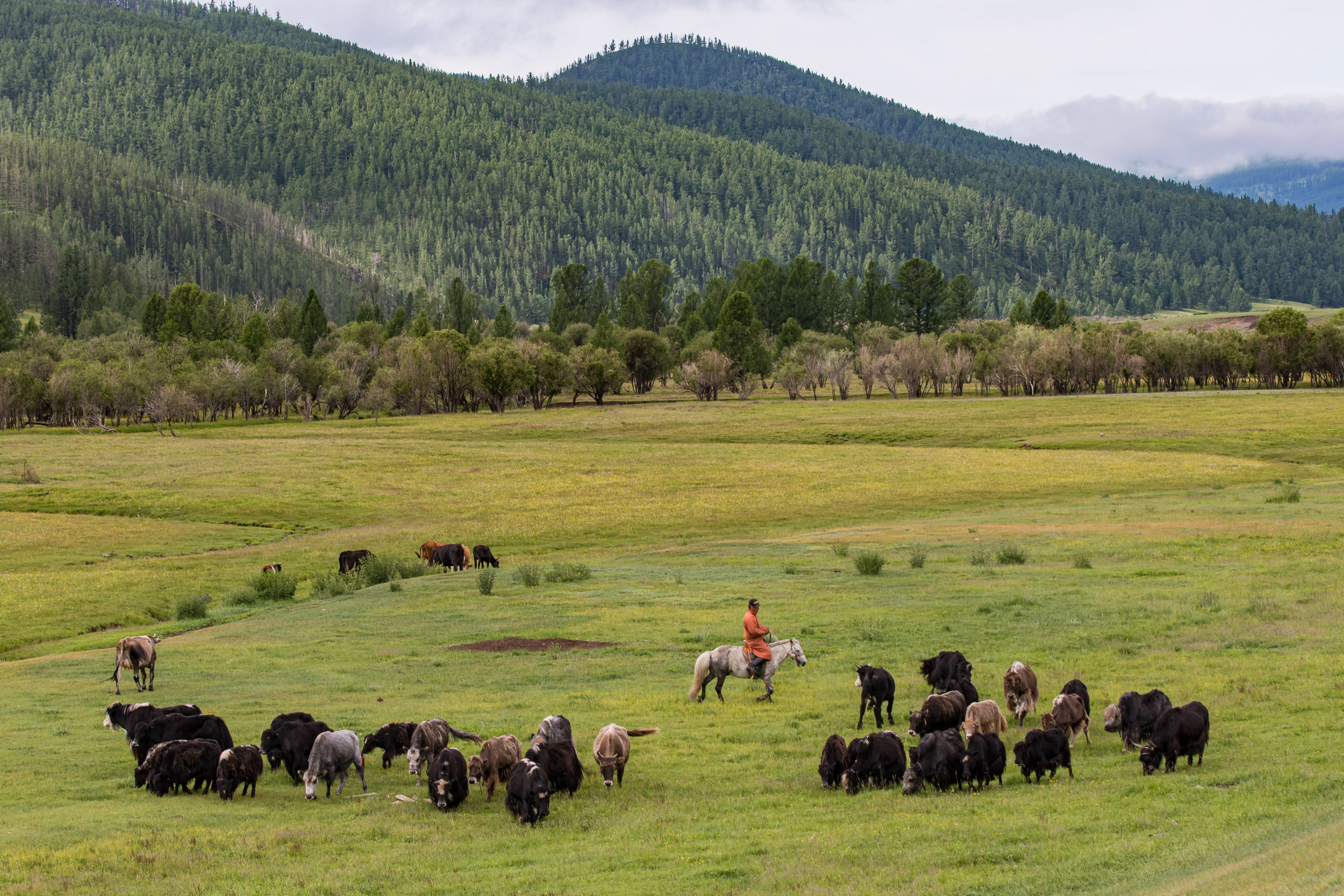 Mongolia, Orkhon Valley, Tsenkher