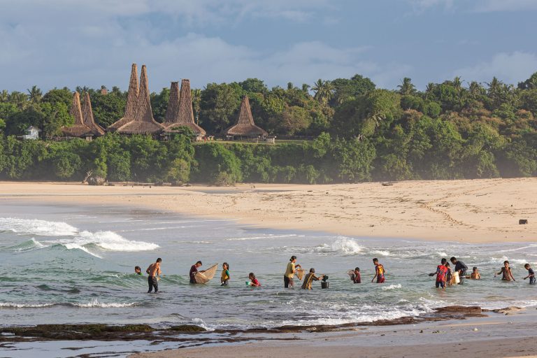 Nyale ritual pasola Wainyapu Sumba Indonesia