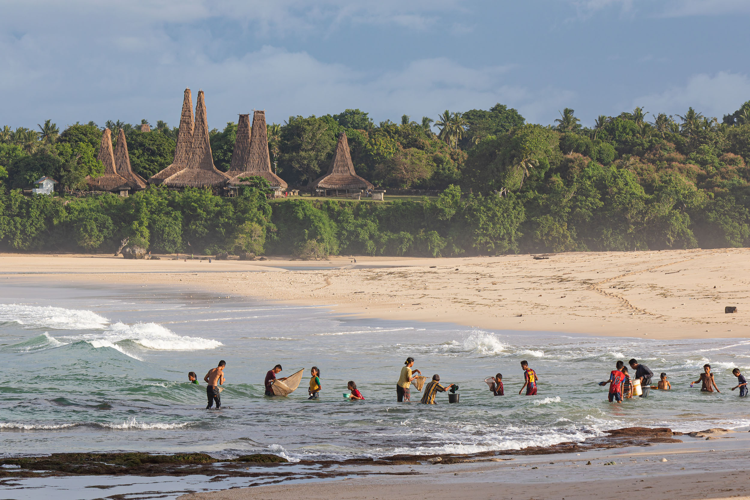 Nyale ritual pasola Wainyapu Sumba Indonesia