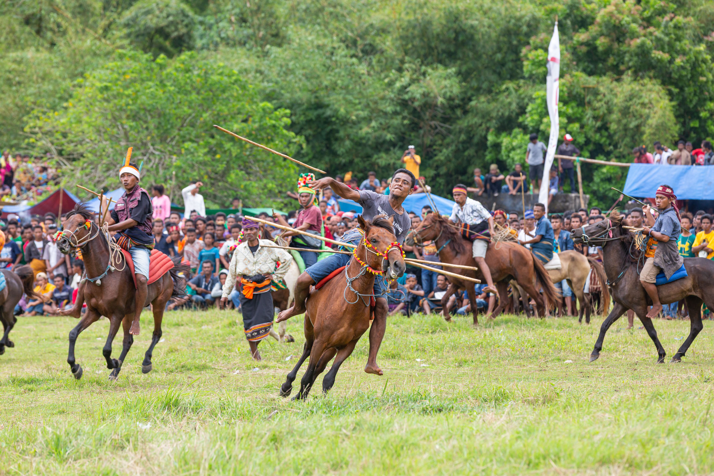 Culture, Indonesia, Pasola, Sumba, blog, ceremony