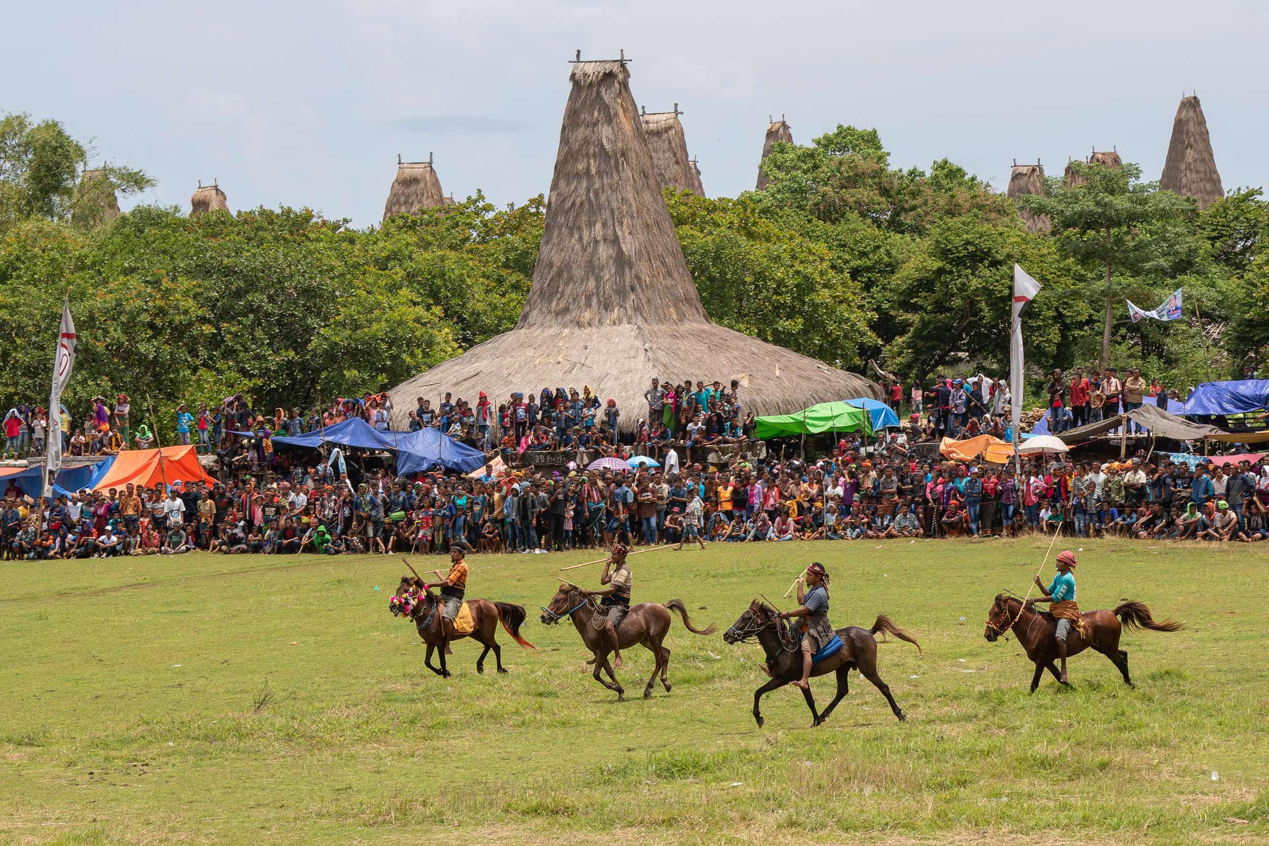 Culture, Indonesia, Pasola, Sumba, ceremony