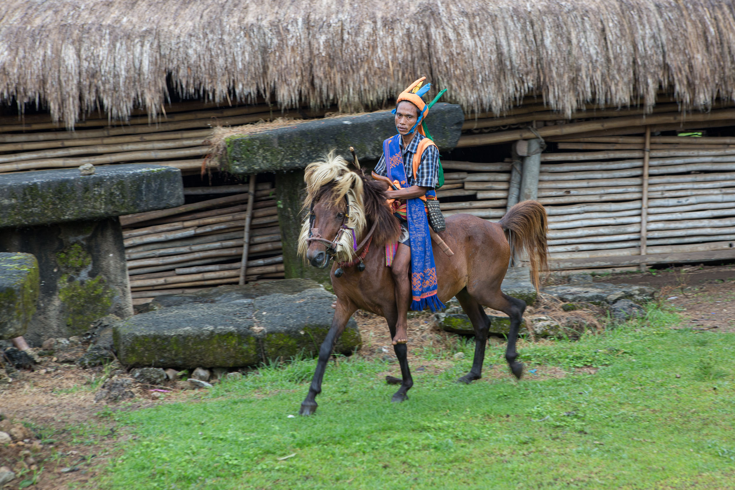 Culture, Indonesia, Pasola, Sumba, blog, ceremony